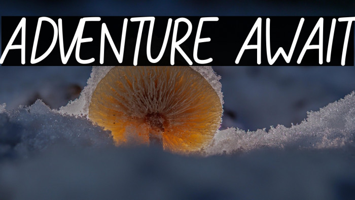 ADVENTURE AWAIT Example 1