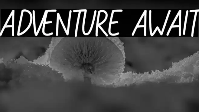 ADVENTURE AWAIT Font examples