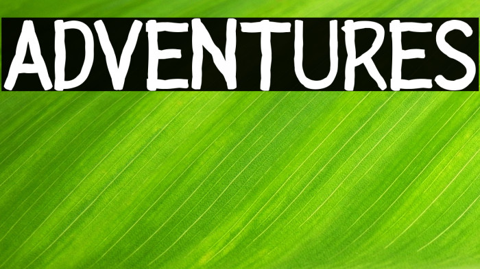 ADVENTURES Example 1