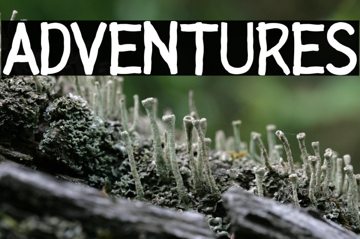 ADVENTURES Example 2