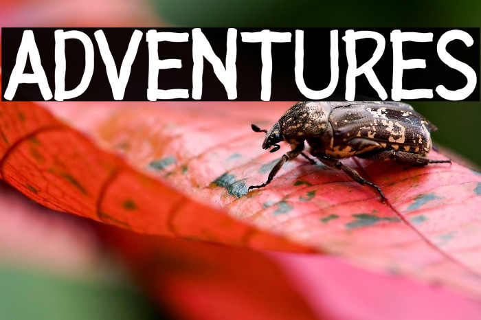 ADVENTURES Example 3