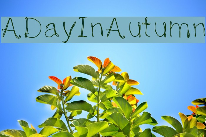 ADayInAutumn Example 2