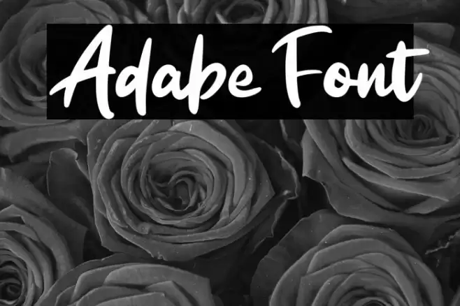 Adabe Font examples