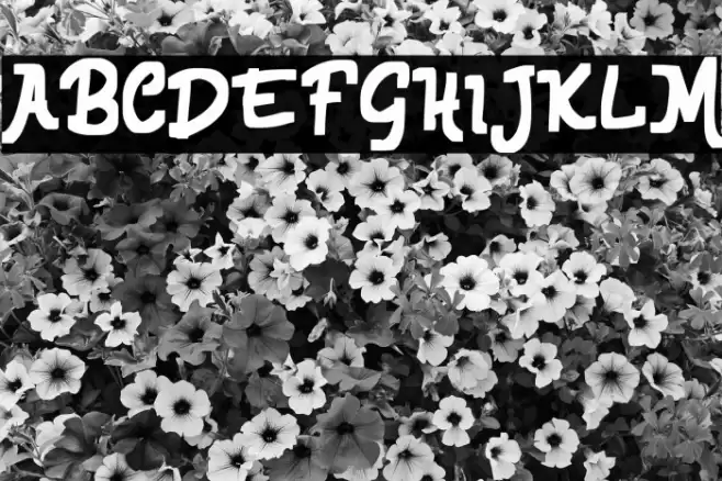 AdabraFREE Шрифта examples