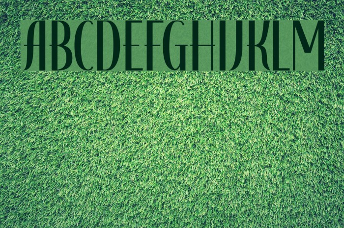 Adagietto DEMO Regular Font examples