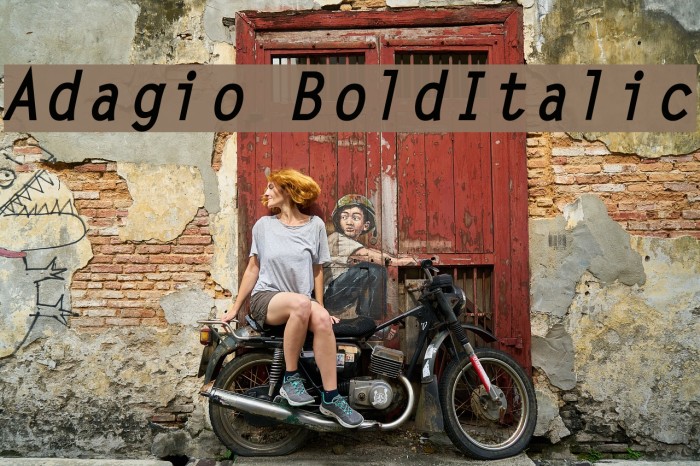 Adagio BoldItalic Font examples