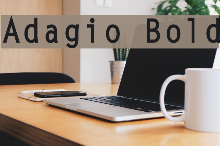 Adagio Bold Caratteri examples