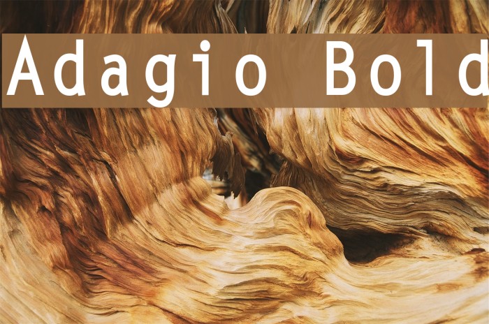 Adagio Bold Caratteri examples