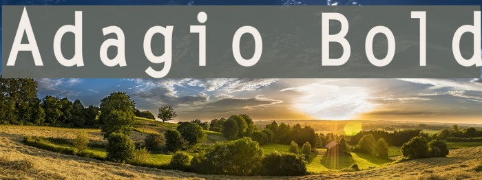 Adagio Bold Caratteri examples