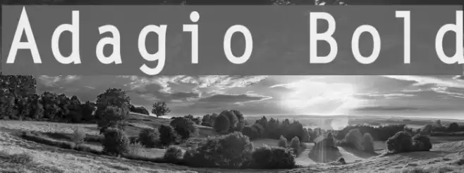 Adagio Bold Font examples