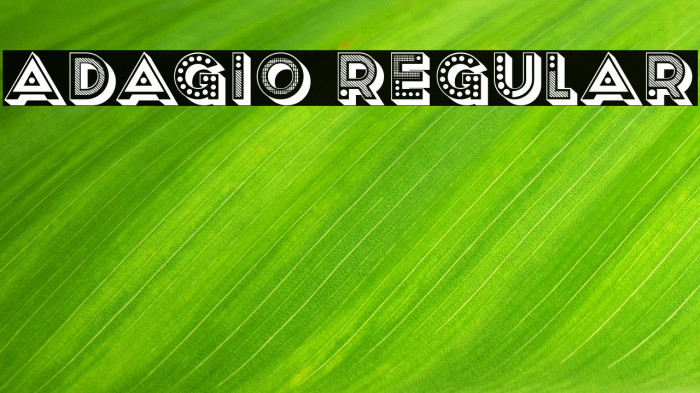 Adagio Regular Example 2