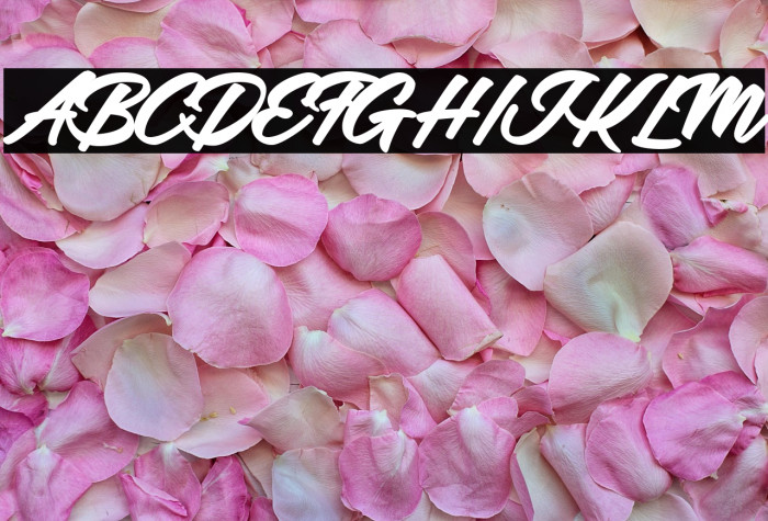 Adalgisa Personal Use Regular Example 1