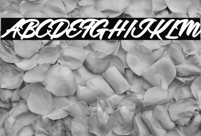 Adalgisa Personal Use Regular Font examples