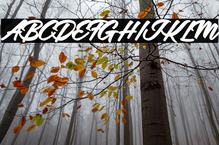 Adalgisa Personal Use Regular Example 2