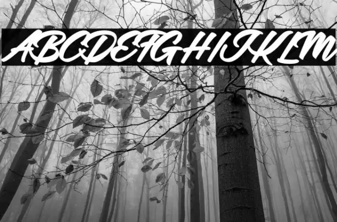 Adalgisa Personal Use Regular Font examples