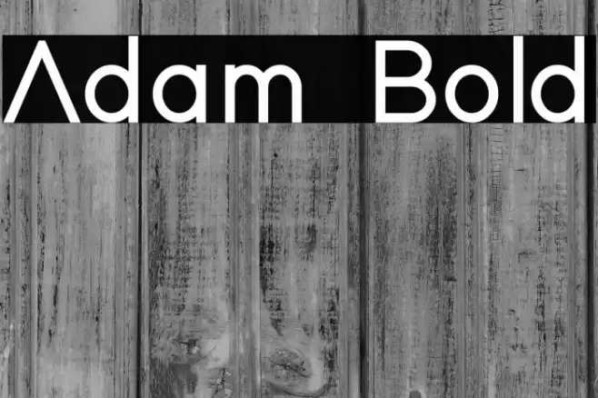Adam Bold Font examples