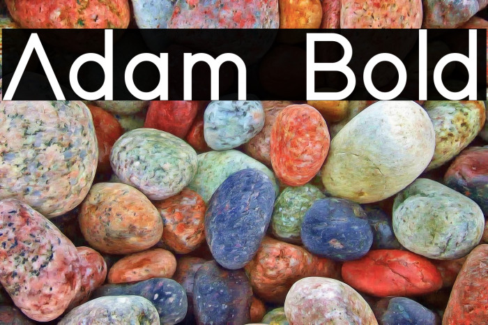 Adam Bold Example 2