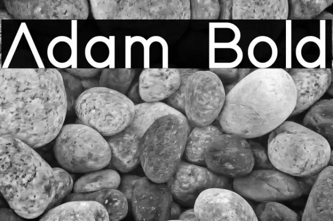 Adam Bold Font examples