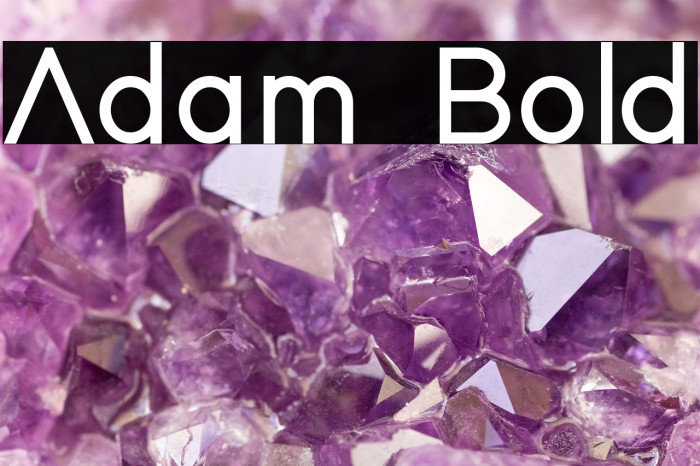 Adam Bold Example 3