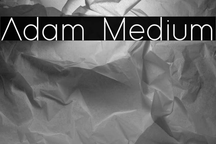 Adam Medium Example 1