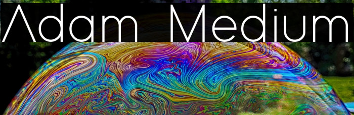 Adam Medium Example 2