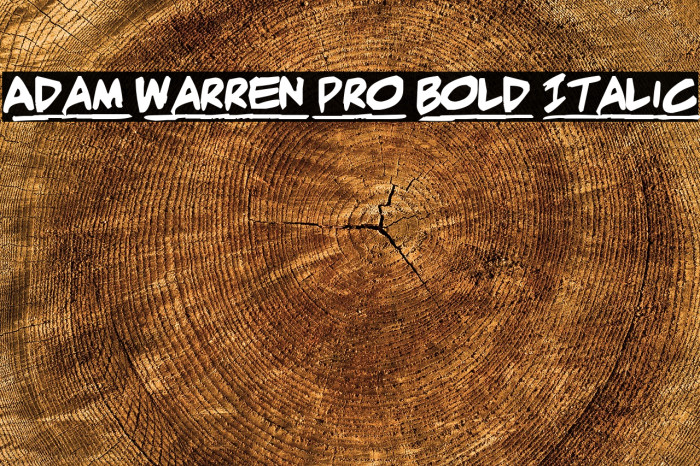 Adam Warren pro Bold Italic फ़ॉन्ट examples