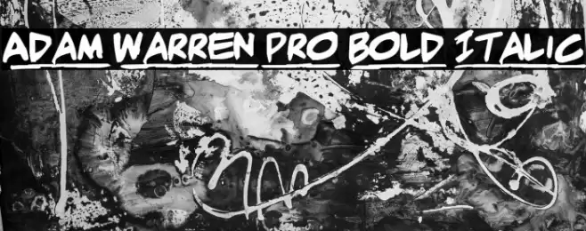 Adam Warren pro Bold Italic Font examples
