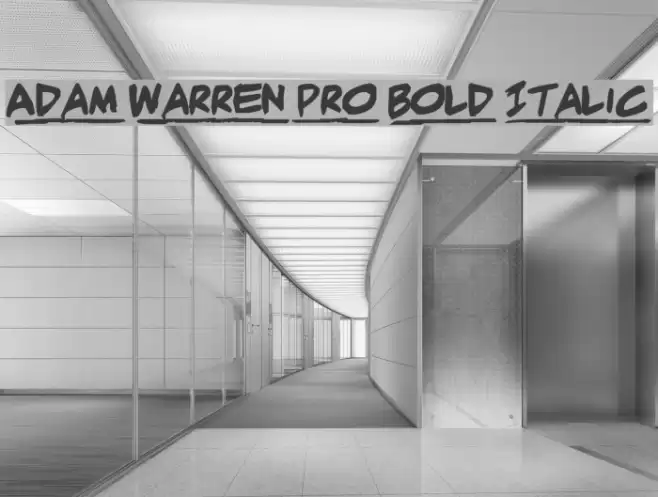 Adam Warren pro Bold Italic Font examples