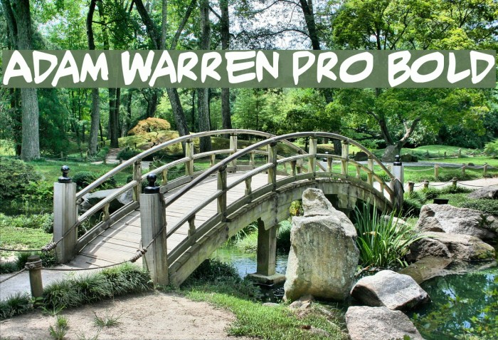 Adam Warren pro Bold Font examples