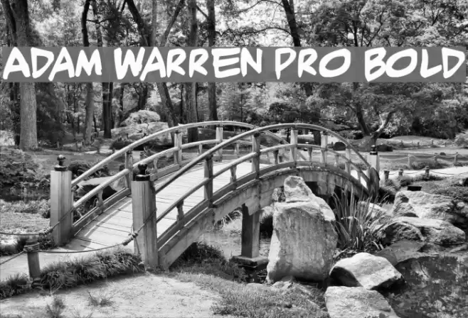 Adam Warren pro Bold Font examples