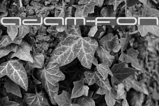 Adam-s-Font Schriftart examples