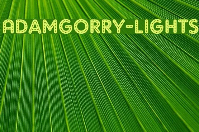AdamGorry-Lights Example 1