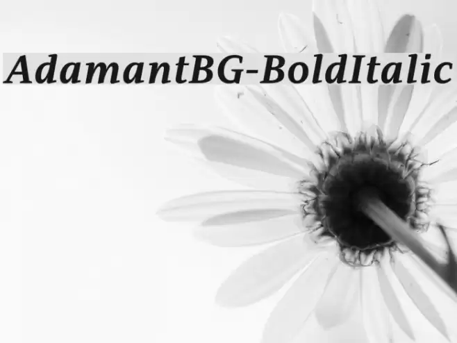AdamantBG-BoldItalic Font examples