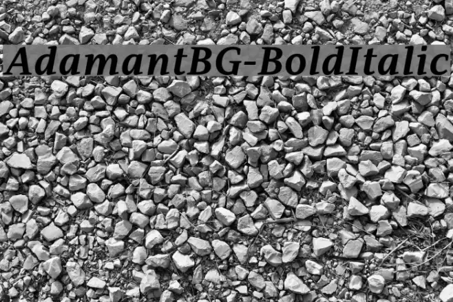 AdamantBG-BoldItalic Font examples