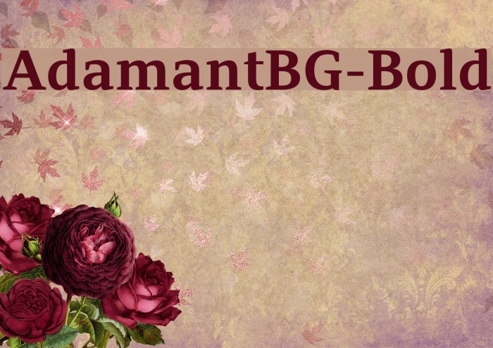 AdamantBG-Bold Font examples