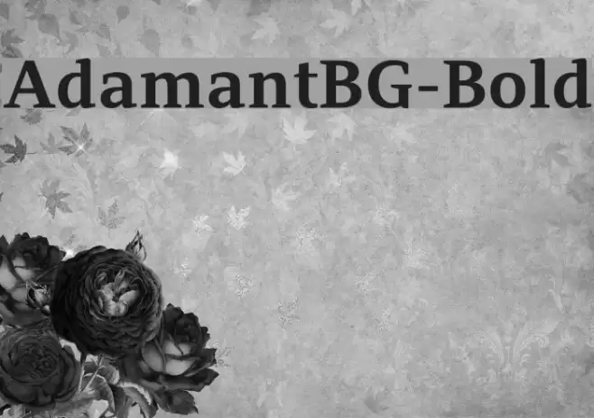 AdamantBG-Bold Fonte examples