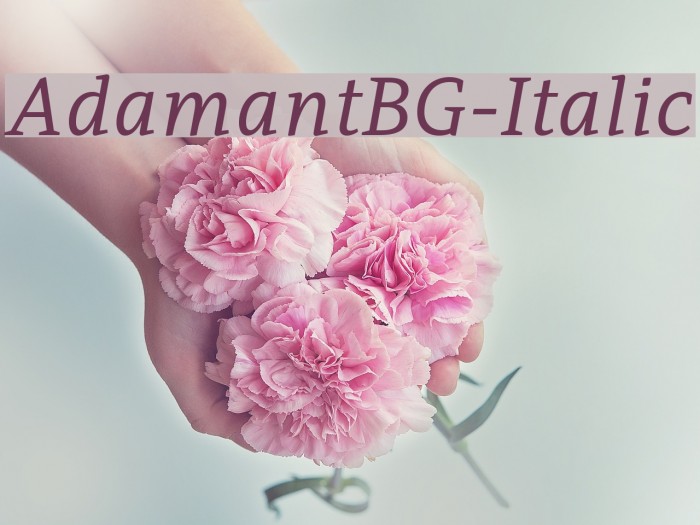 AdamantBG-Italic Font examples