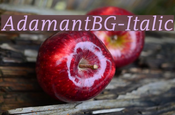 AdamantBG-Italic Font examples