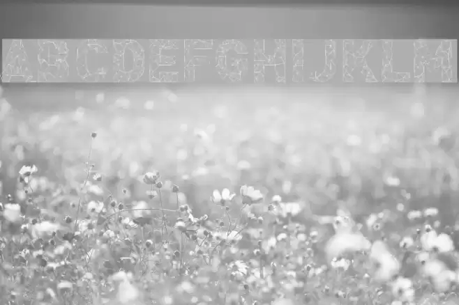 Adamas-Regular Font examples