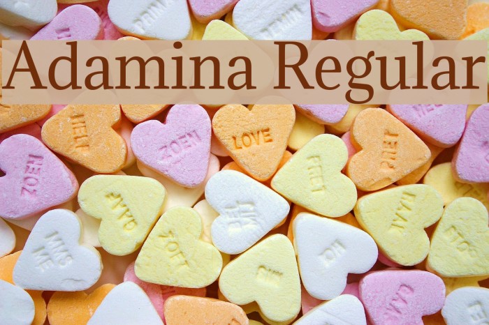 Adamina Regular Font examples