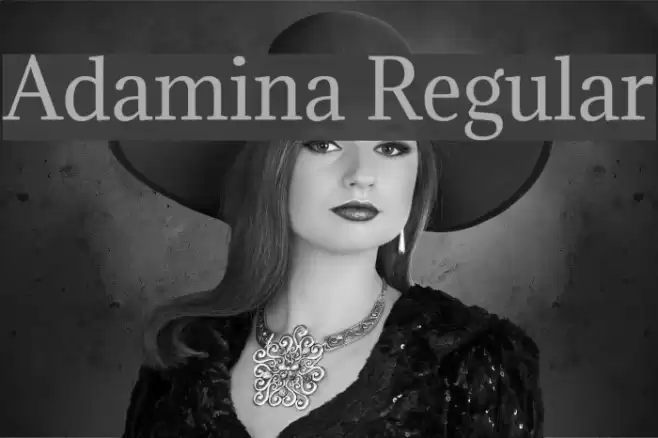 Adamina Regular Font examples