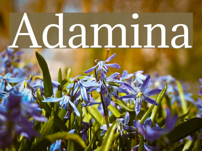 Adamina Font examples