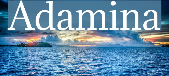 Adamina Font examples