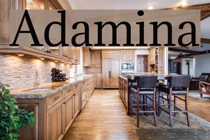 Adamina Font examples