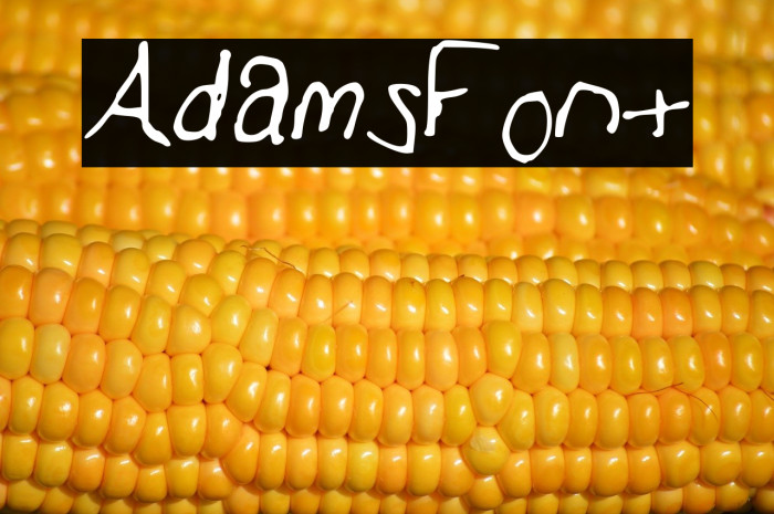 AdamsFont Example 2