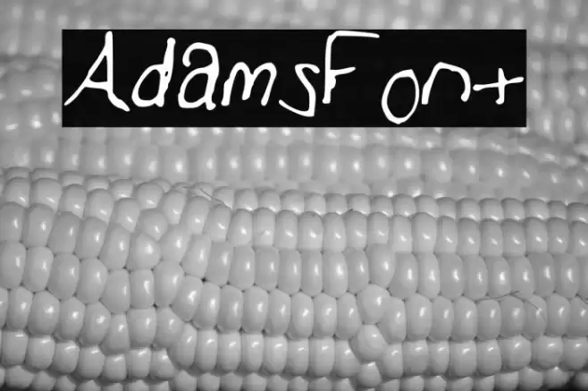 AdamsFont Font examples