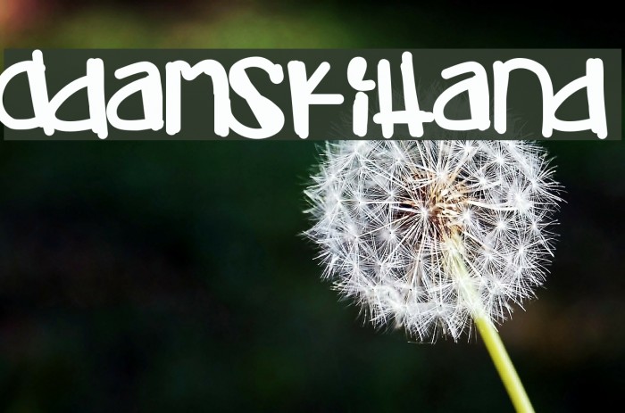 AdamskiHand Font examples