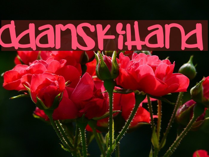 AdamskiHand Font examples