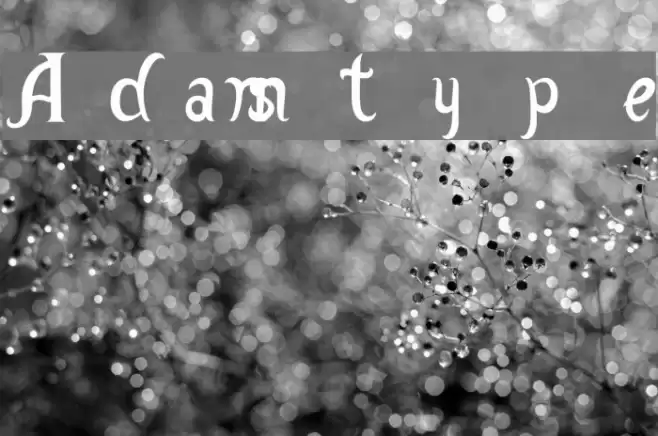 Adamstype Font examples