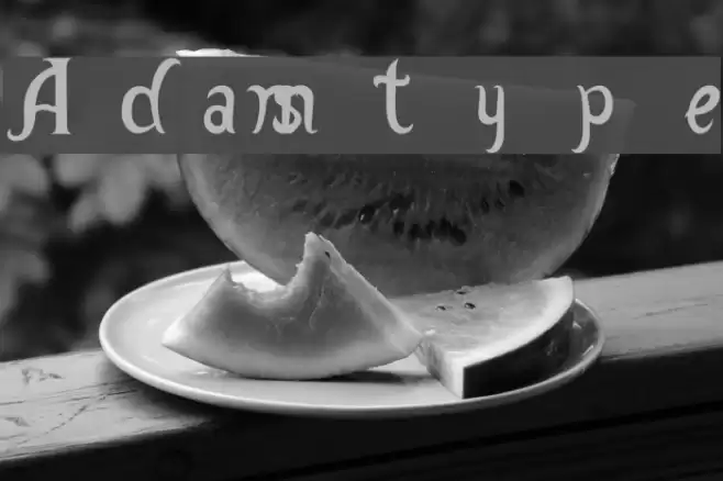 Adamstype Font examples